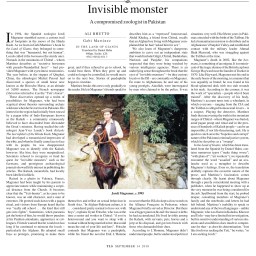 The TLS: Invisible monster