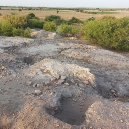 In search of Meluhha